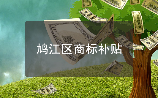 鳩江區(qū)商標(biāo)補(bǔ)貼詳情，補(bǔ)貼金額清單