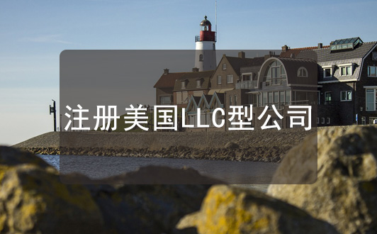 注冊美國LLC型公司的優缺點分析,更適合小型企業
