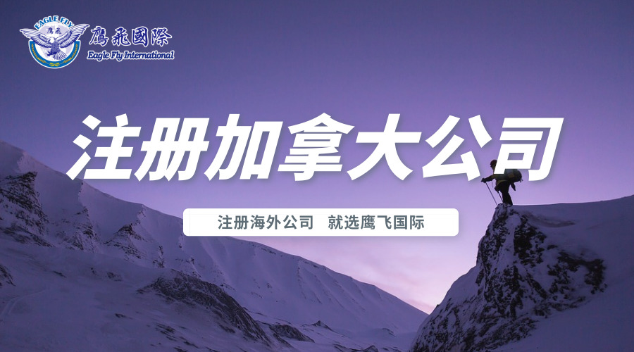 加拿大聯邦有限公司和省有限公司注冊問題