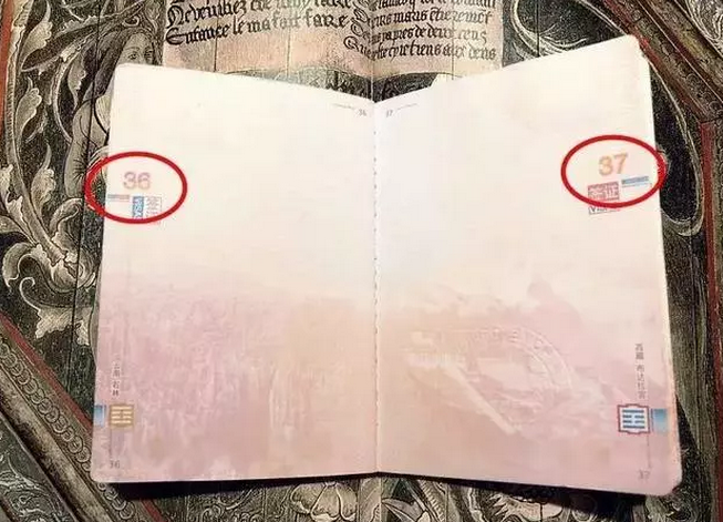 10個你必須知道的護照干貨!6