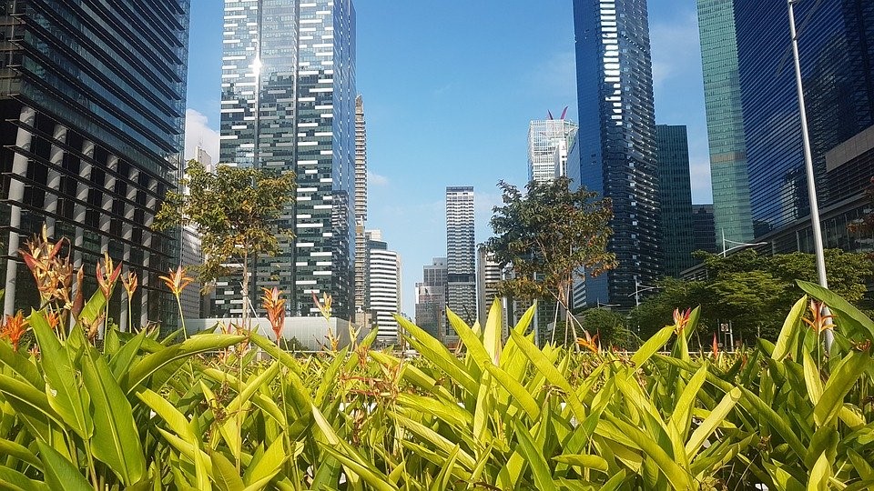 只要滿18歲就可以擔(dān)任新加坡公司董事了嗎?